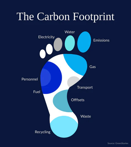 5 Ways to Reduce Your Carbon FootPrint
