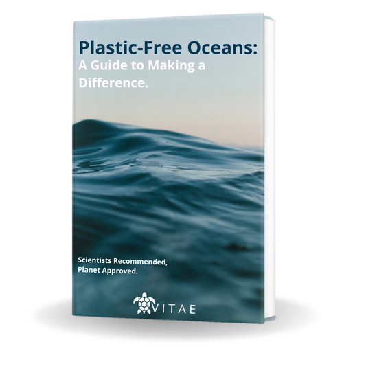 Plastic-Free Oceans: A Guide to Making a Difference